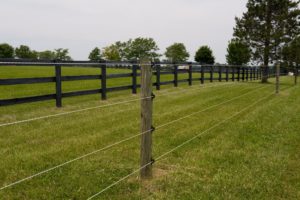 Cashman Elite FENCE with board fence in background