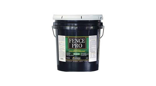 Forever Black Steel Fence Paint - An Honest Review
