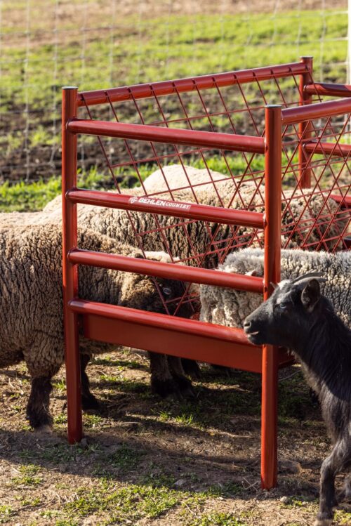 Metal Sheep & Goat Feeder - Image 5